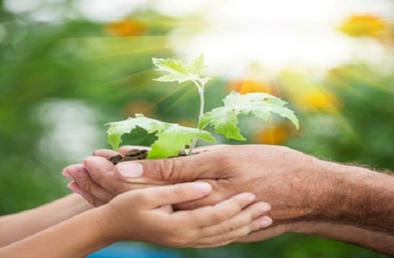 بازگشت به ریشه‌ها؛ راهکارهایی برای ترویج فرهنگ اصیل ایرانی ـ اسلامی  لید: